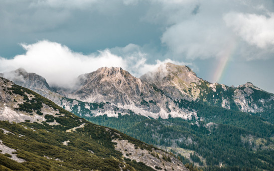 L-глутамин: универсальная аминокислота для поддержки организма