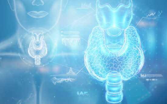 Разбор ключевых трендов, которые сегодня формируют новую эндокринологию