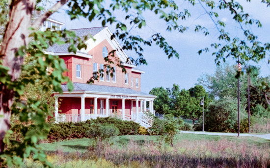 Эксперт рассказал, можно ли сажать деревья рядом с домом