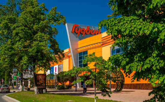 ТРЦ «Гудвин»