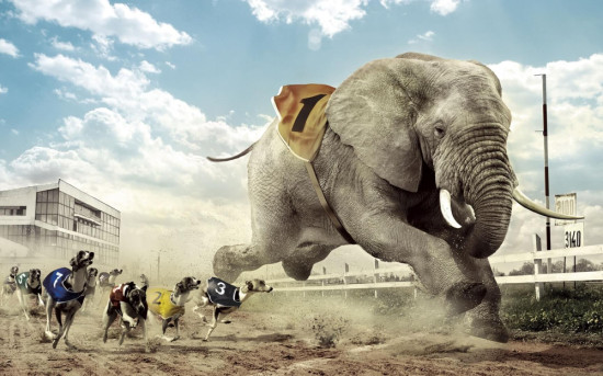 Product–Market Fit: момент истины между идеей и рынком