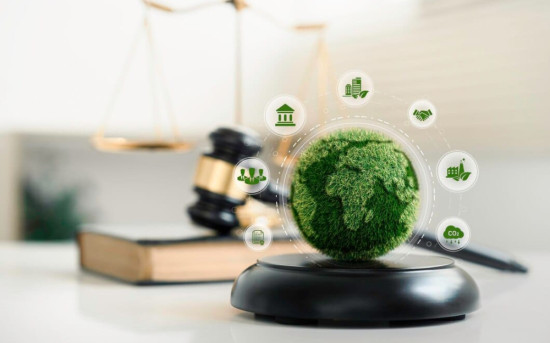 РБК Черноземье планирует развивать судебную и ESG-журналистику