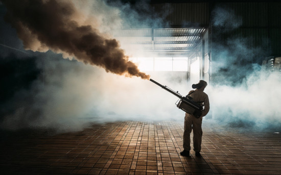 Дезинсекция в ночное время: эффективное решение для предприятий