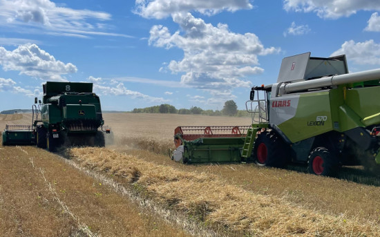 Почему сельскому хозяйству не хватает стратегии, а не поддержки