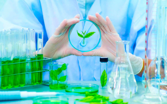 Новая гигиена: как меняется подход к стирке нижнего белья