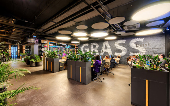 Эко-офис GRASS