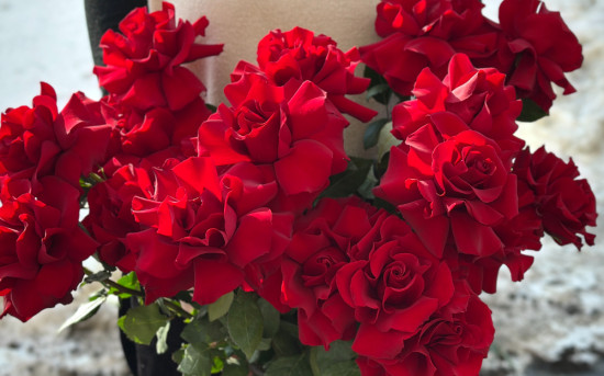 Букеты с вывернутыми французскими розами — тренд 2025-2026 года