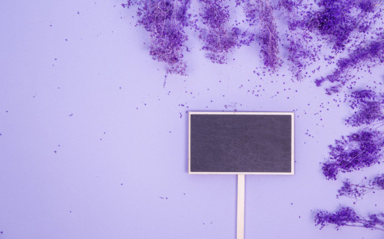 Как визуальное представление влияет на успешность аренды пространств