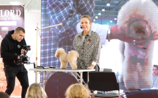 Скачайте это немедленно: приложение ParkZOO для работы на выставке