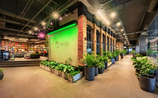 Эко-офис GRASS