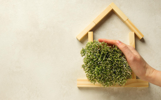 Ингредиенты здорового дома: чем и как покрасить баню