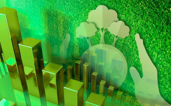 Как бизнес переосмысливает упаковку: уроки из модели ECO 3.6.0