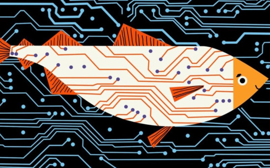Рыба и «цифра»: цифровизация рыбной отрасли глазами бизнеса и государства