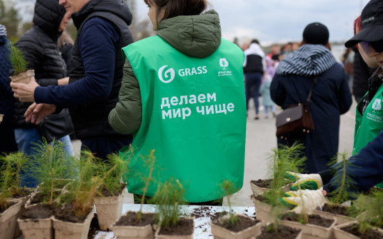 саженцы сотрудникам