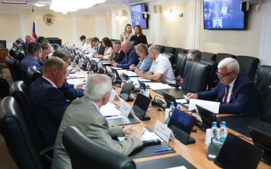Директор НО «СОЮЗЦЕМЕНТ» представила в Совете Федерации доклад о мерах по защите населения от незаконного оборота цемента