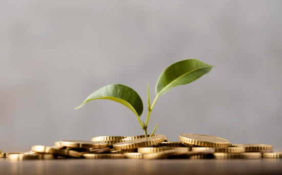 Федеральный девелопер «Железно» открыл реестр заявок на выпуск ЦФА