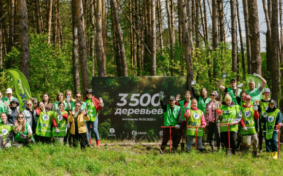 высадка деревьев от крупных компаний