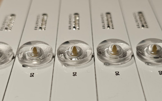 Линзованные модули: как выбрать