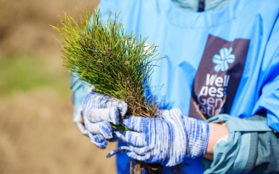 Siberian Wellness получила премию «Лучший ESG-проект в России»