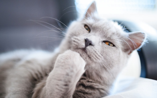 10 способов ответить на возражение клиента «Я подумаю»