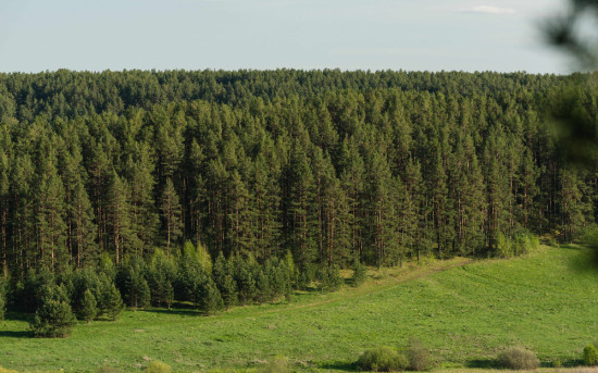 26 млн за 1,5 месяца: как привлечь инвестиции в курортную недвижимость