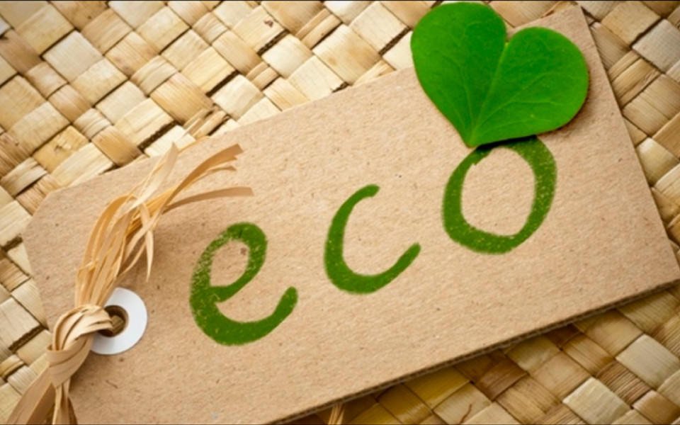 Зачем бренды создают отдельные «эко-продукты» — и к чему это ведет