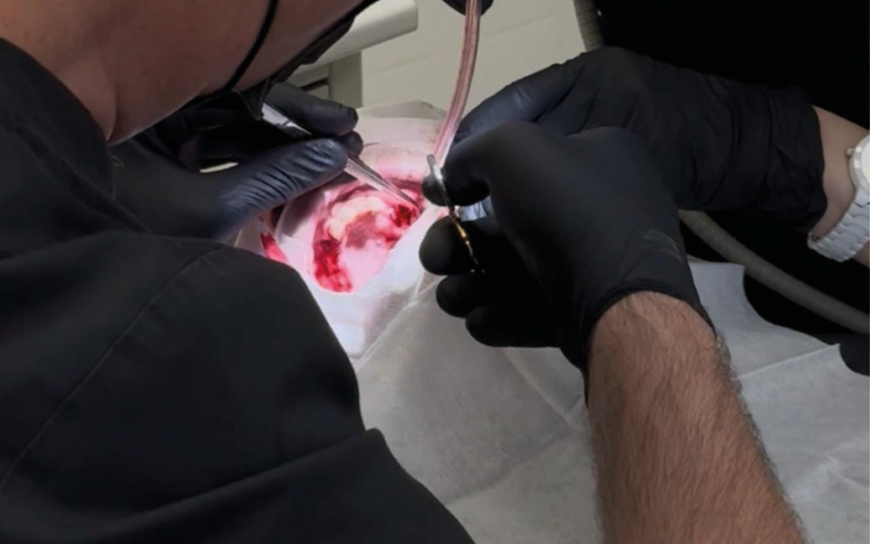 «Третьи зубы»: фантастика из Японии... А что в России