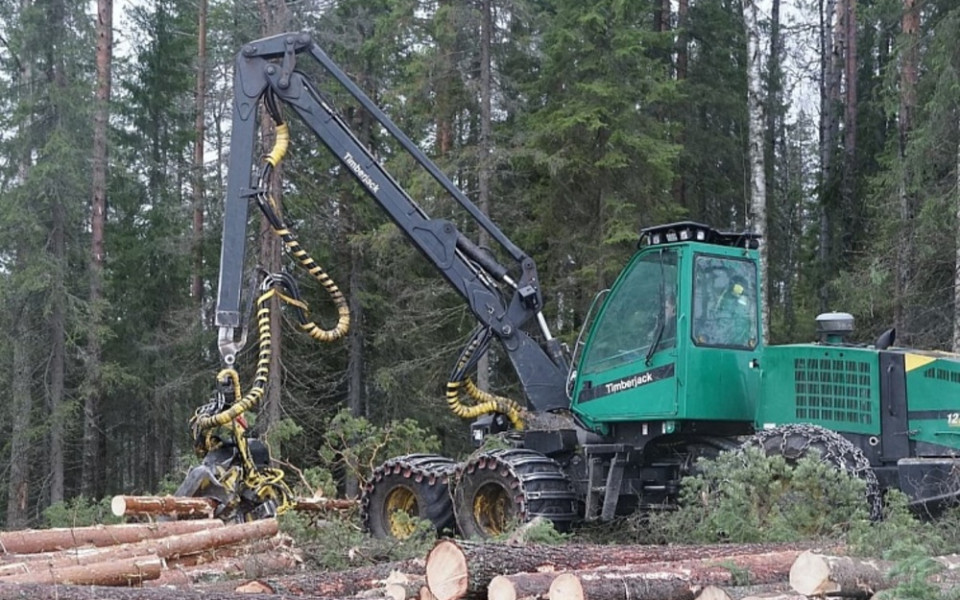 Автокран разгружает бревна на лесопилке
