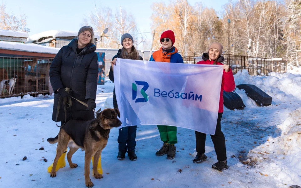 Сотрудники ВебЗайм посетили приют для собак