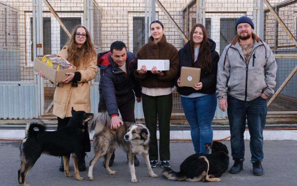 Девелопер BM GROUP поддержал воронежский приют для бездомных животных