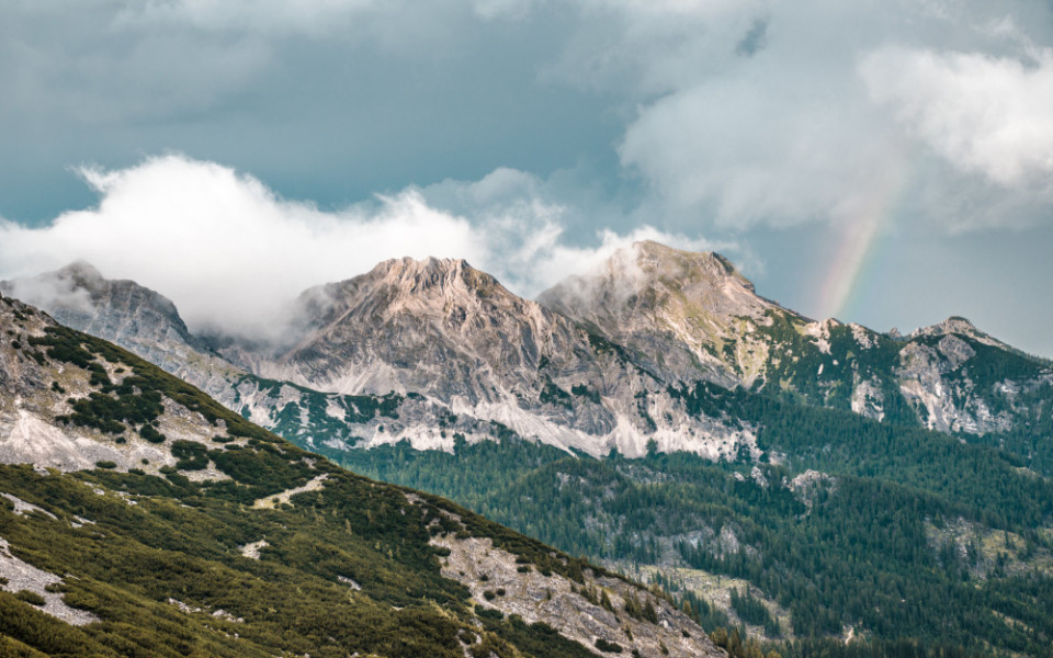 L-глутамин: универсальная аминокислота для поддержки организма