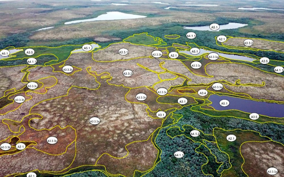 Дроны DJI используют для изучения и сохранения растительности Арктики