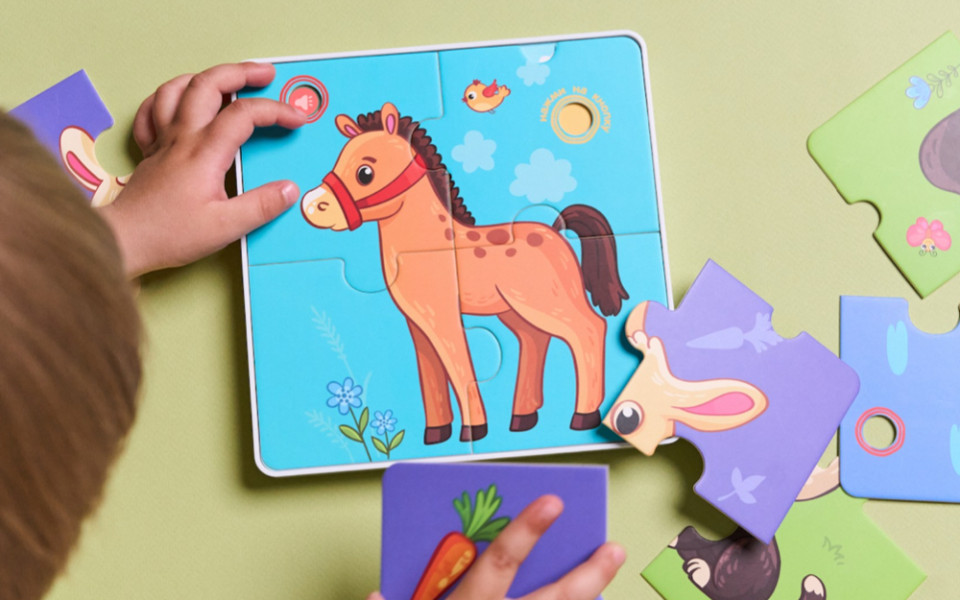 Пазлтач, игрушка об бренда BertToys