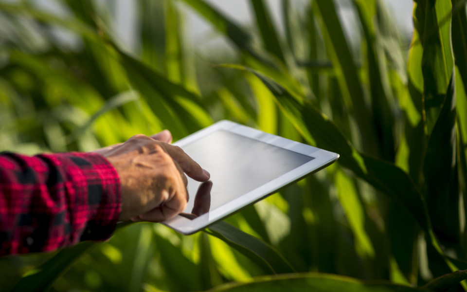 Зачем лидеру АПК личный бренд: главное с отраслевого вебинара