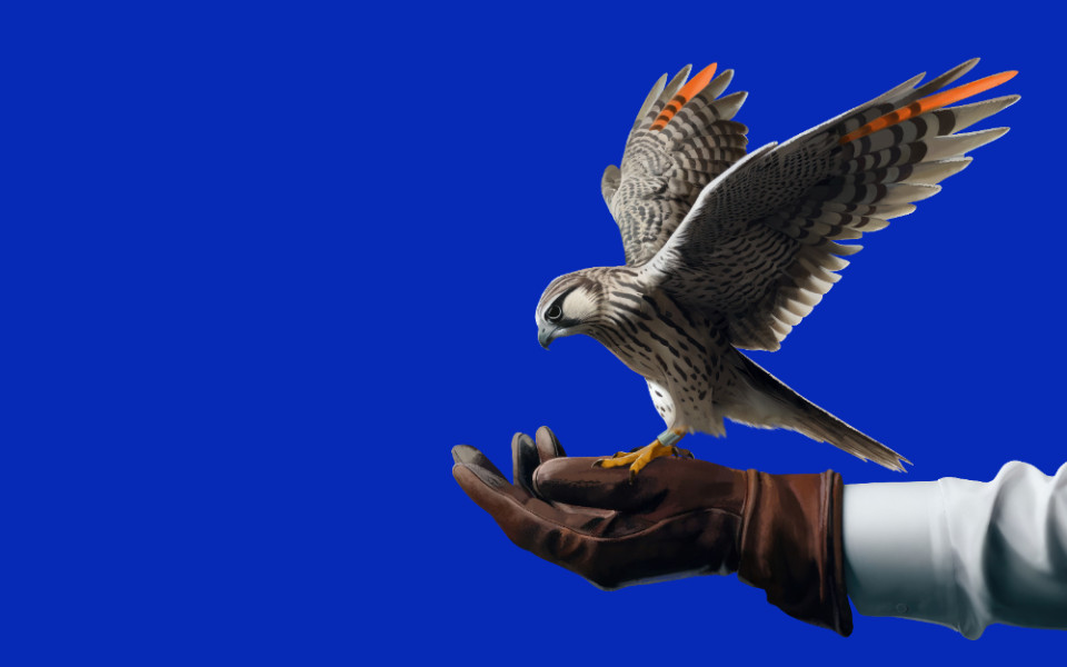 Жатын бөлмеде әдемі аққұбаны блді