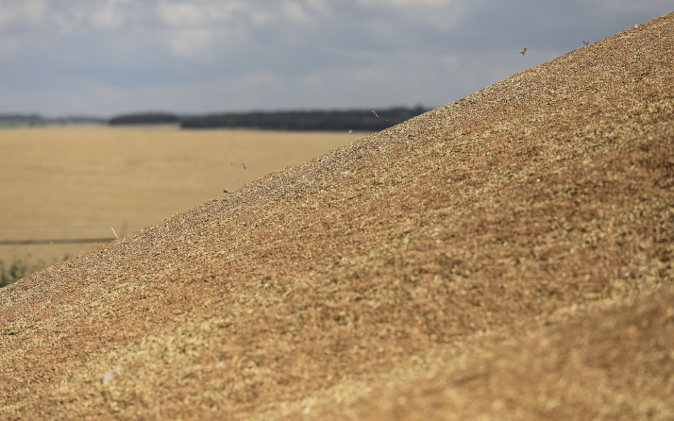 Архив фотографий Агрохолдинга "Лазаревское"