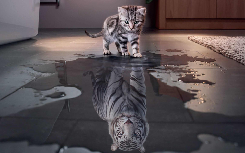 Псевдомощь vs реальная сила: распознать и развить масштаб личности