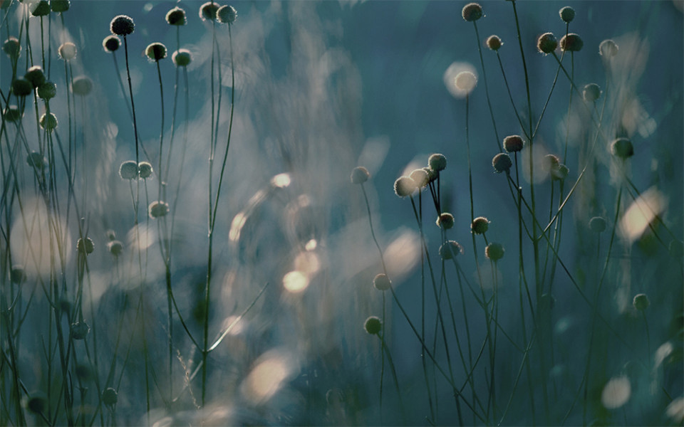 Ягоды как суперфуд: какие самые полезные и кому их нужно есть