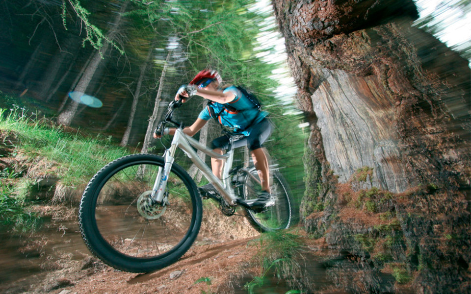 Бор: как микроэлемент укрепляет кости и влияет на гормоны