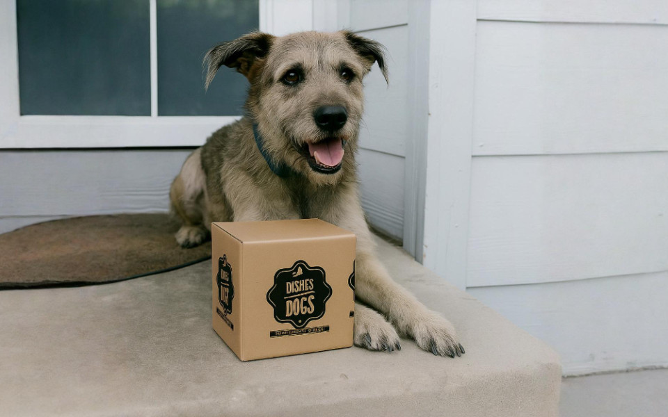 Коллаборация с благотворительным проектом: как создать полезный продукт