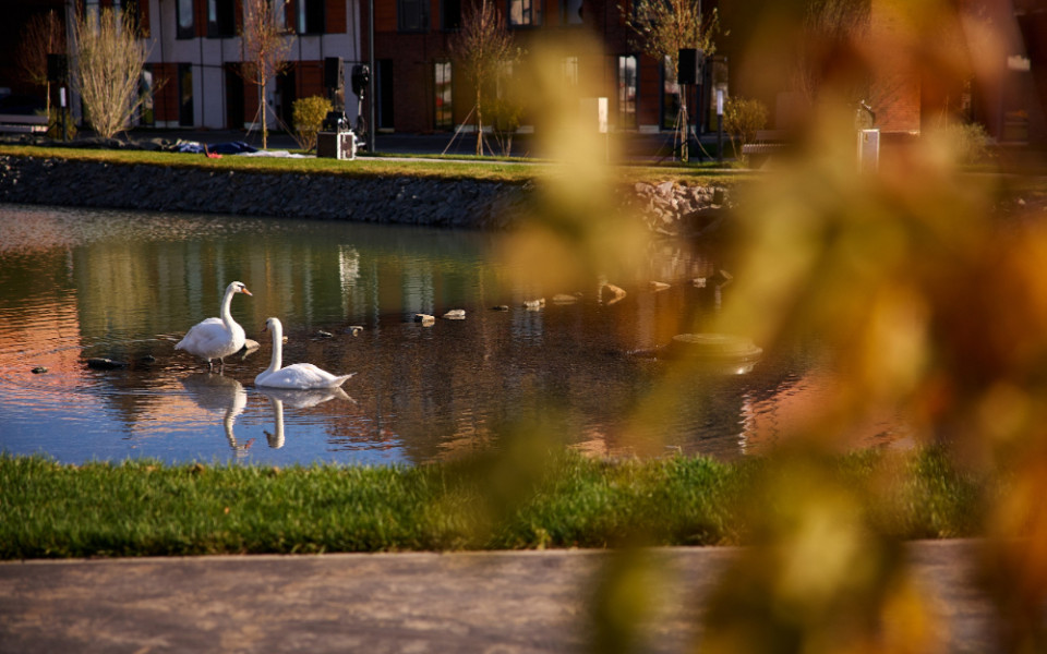 ФСК Family не прогнозирует спада рынка ИЖК