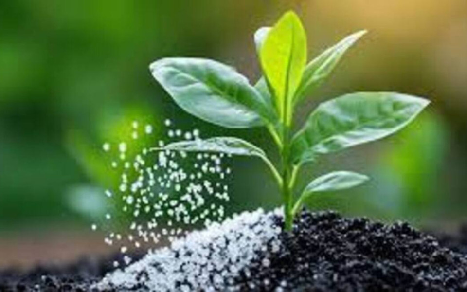 Расширяем струдничесвто на международных рынках: НИИК стал членом AFA