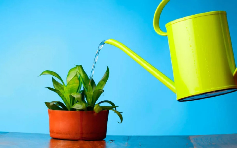 Почему развитие сотрудников стало главным KPI HR-стратегии