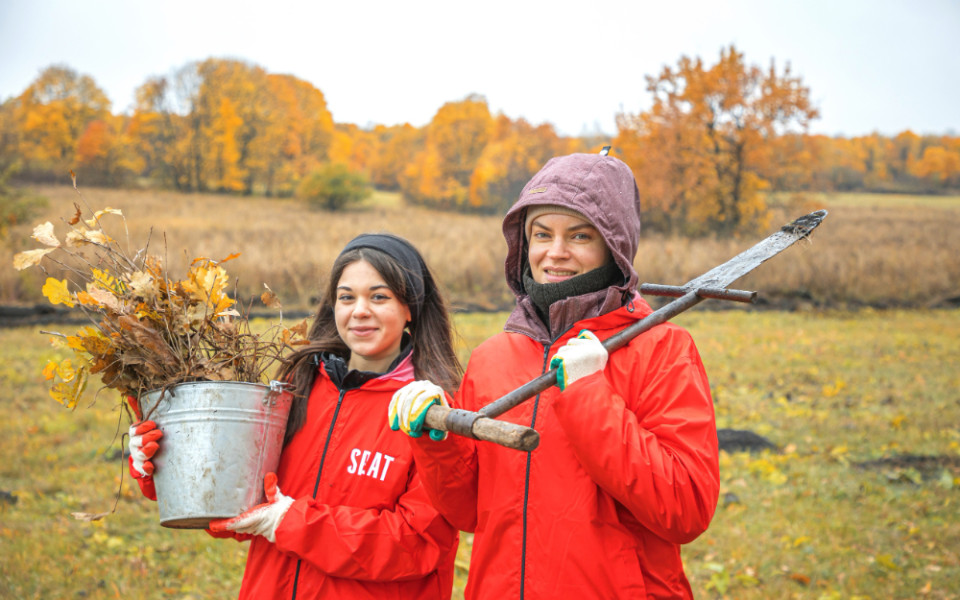 Высадка саженцев командой SPLAT Global